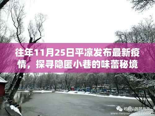 往年11月25日平凉发布最新疫情,探寻隐匿小巷的味蕾秘境,平凉疫情之余的意外惊喜