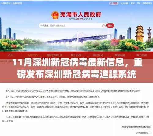 11月深圳新冠病毒最新信息,重磅发布深圳新冠病毒追踪系统,科技前沿的智能守护者,引领抗疫新时代