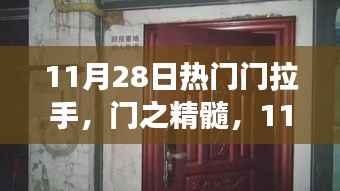 11月28日热门门拉手,门之精髓,11月28日热门拉手背后的故事与影响