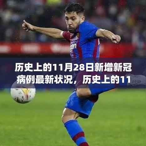 全球视角下的深度洞察，历史上的11月28日新增新冠病例最新状况报告分析