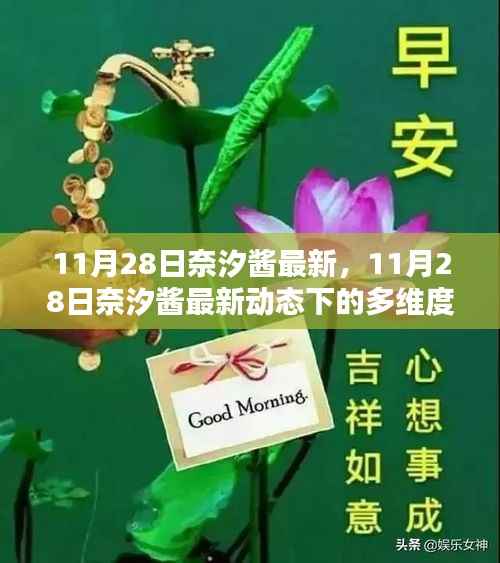 11月28日奈汐酱最新动态,多维度观点下的深度探析