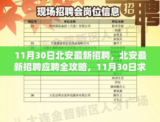 11月30日北安最新招聘全攻略,求职步骤详解