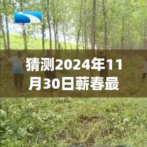 揭秘蕲春未来蓝图,2024发展规划图下的展望与温馨日常