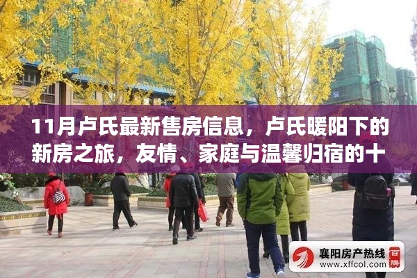 卢氏十一月最新售房信息,暖阳下的新房之旅,友情与家庭的温馨归宿故事
