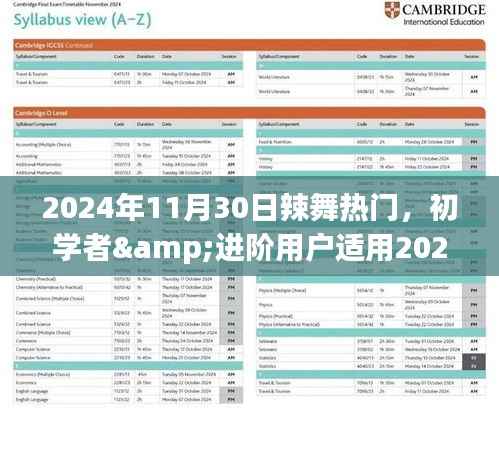 2024年11月30日辣舞热门,初学者&进阶用户适用2024年11月30日辣舞热门,一步步学会成为舞场焦点