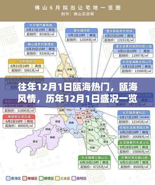 瓯海历年12月1日盛况回顾,风情尽显魅力无限