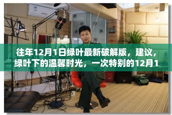 绿叶下的犯罪警示,一次特别的聚会背后的法律风险解读。