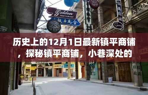 镇平商铺探秘,历史印记下的惊喜之旅(12月1日)