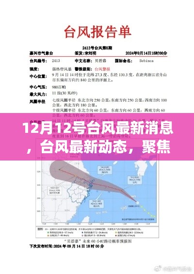12月12日台风最新动态与深度解读,多方观点聚焦台风影响
