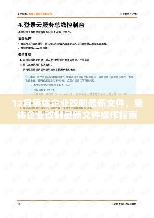 集体企业改制最新文件详解与操作指南,初学者与进阶用户必备参考