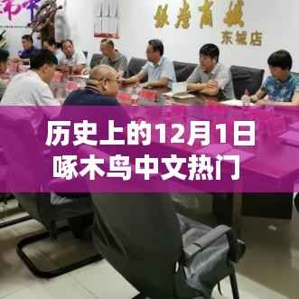 科技重塑生活,啄木鸟中文热门下载在12月1日新品重塑未来体验