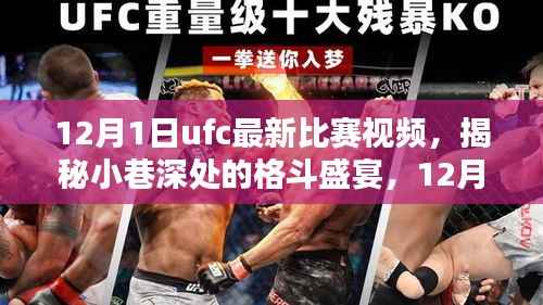 揭秘小巷深处的格斗盛宴,UFC最新比赛视频与特色小店的奇遇回顾 12月1日精彩对决瞬间