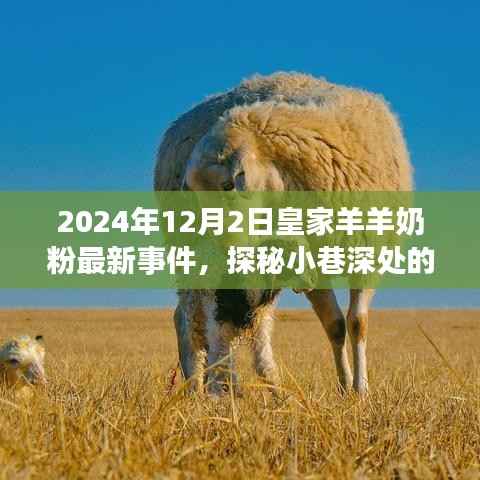 2024年12月2日皇家羊羊奶粉最新事件,探秘小巷深处的皇家羊羊奶粉故事,2024年12月2日的惊喜发现