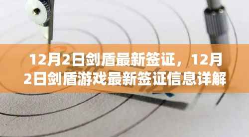 12月2日剑盾游戏最新签证信息全面解析