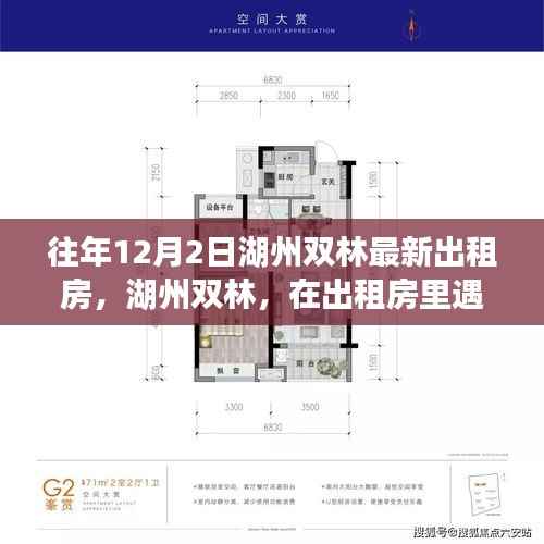 湖州双林,追寻自然微笑与内心宁静的出租房之旅,最新房源一览