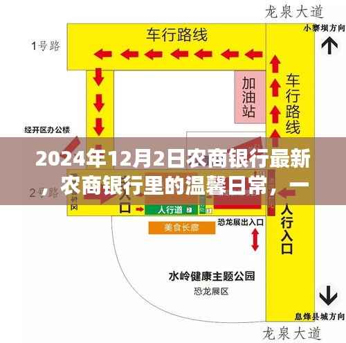 农商银行里的温馨日常,友谊、爱与陪伴的故事(2024年12月2日最新资讯)