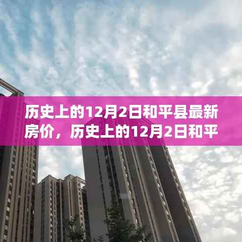 历史上的12月2日和平县最新房价解析,购房指南助你洞悉市场动态