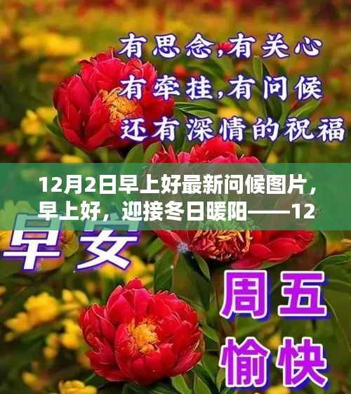 12月2日冬日暖阳问候图片,分享美好早晨,迎接全新一天