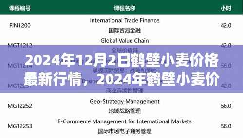 2024年12月2日鹤壁小麦价格最新行情,2024年鹤壁小麦价格最新行情解析及市场分析指南