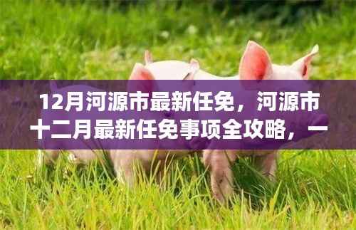 12月河源市最新任免,河源市十二月最新任免事项全攻略,一步步掌握如何完成