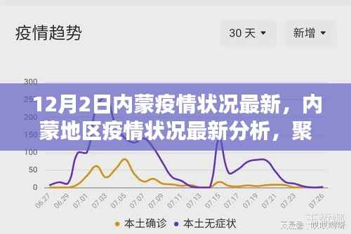 12月2日内蒙疫情最新动态及分析,地区状况与观点探讨