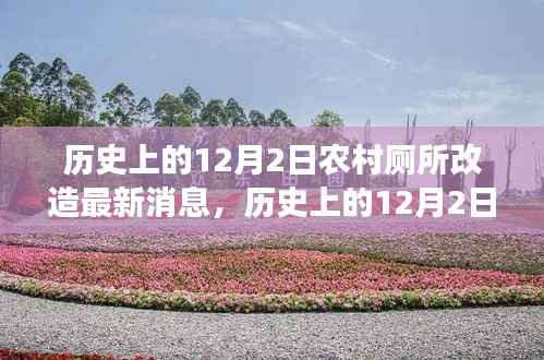 历史上的12月2日,农村厕所改造最新进展与展望