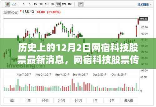 网宿科技股票传奇,友谊与爱铸就的奇迹,温馨日常与股市动态回顾(最新消息)