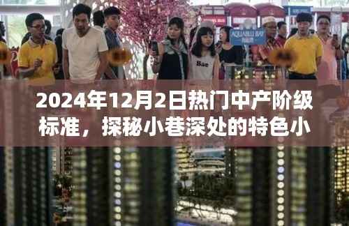 揭秘中产阶级新风尚,小巷特色小店与热门标准探秘(2024年)