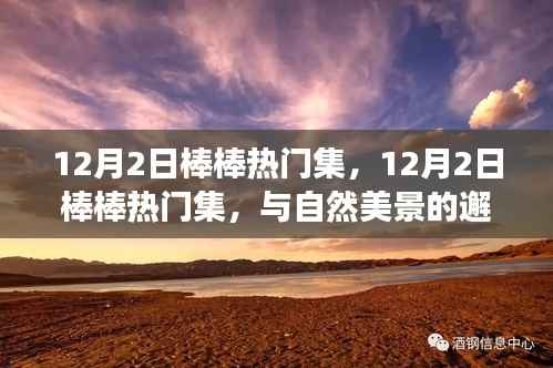 12月2日棒棒热门集,与自然美景的邂逅,踏寻内心平和之旅
