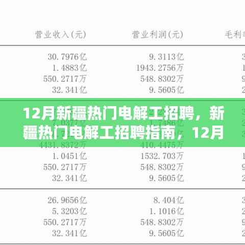 12月新疆电解工招聘指南,求职全攻略