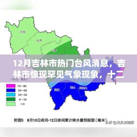 吉林市十二月罕见气象现象揭秘,台风热议背后的真相探究