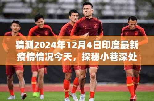 印度未来疫情预测与小巷美食探秘,2024年12月4日最新疫情展望与美食之旅体验