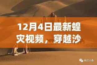 揭秘蝗灾背后的自然奇迹，穿越沙漠绿洲的心灵之旅最新视频曝光