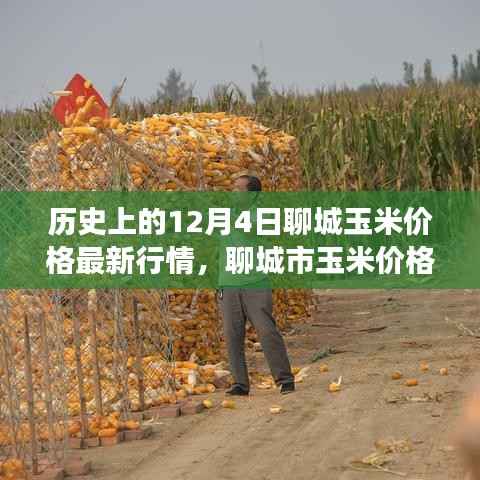 揭秘历史行情与影响,聊城玉米价格风云变幻的12月4日最新行情分析
