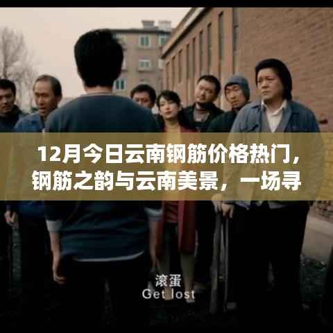 云南钢筋价格动态与美景探索,钢筋之韵与自然之旅的融合体验