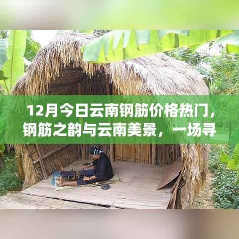 云南钢筋价格动态与美景探索,钢筋之韵与自然之旅的融合体验