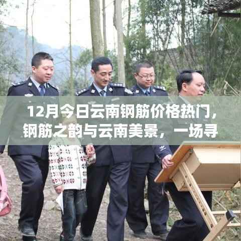 云南钢筋价格动态与美景探索,钢筋之韵与自然之旅的融合体验