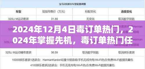 毒订单热门任务完成指南,掌握先机,助力行动成功(2024年12月版)