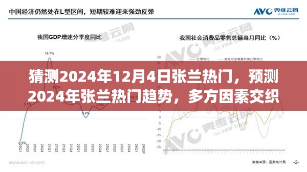 2024年张兰热门趋势预测,多方因素交织下的可能性分析