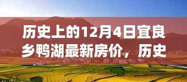 历史上的12月4日宜良乡鸭湖最新房价探析,深度了解房产市场动态