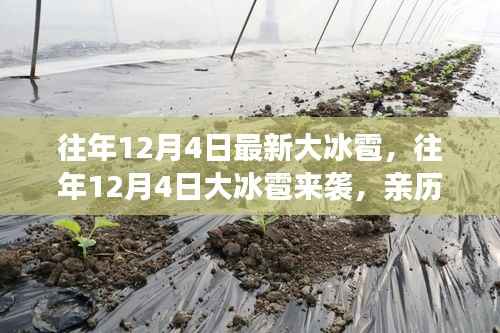 往年12月4日大冰雹灾害,亲历者的真实记录与分享