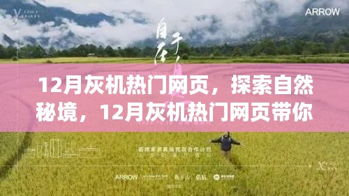探索自然秘境,启程寻找心灵净土,领略宁静之美——十二月灰机热门网页之旅