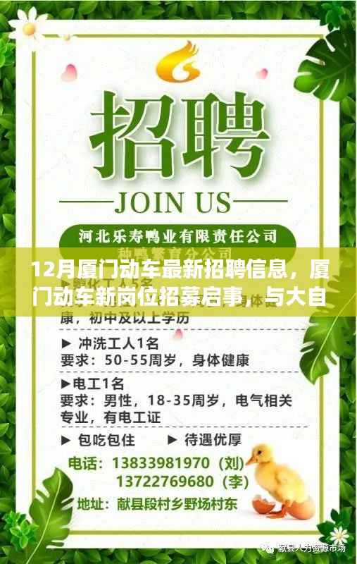 厦门动车招聘启事,新岗位招募,探寻心灵静谧之旅与大自然共舞的季节