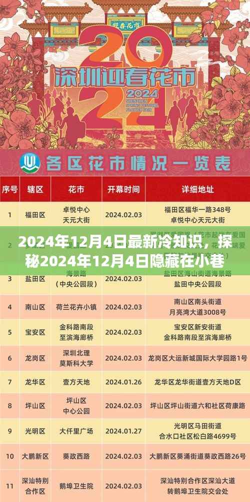 探秘奇特小店,揭秘隐藏在小巷中的最新冷知识之旅(日期,2024年12月4日)