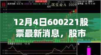 股市风云中的温情故事,揭秘与600221股票的不解之缘的最新消息