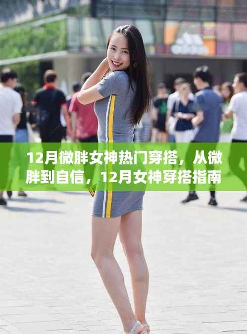 12月微胖女神热门穿搭,从微胖到自信,12月女神穿搭指南,展现你的独特魅力