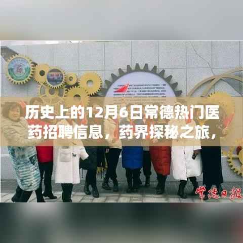 历史上的12月6日常德热门医药招聘信息,药界探秘之旅,常德医药招聘与自然的和谐共鸣——一次远离尘嚣的心灵之旅