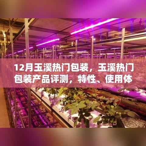 玉溪热门包装产品评测,特性、使用体验与目标用户深度解析