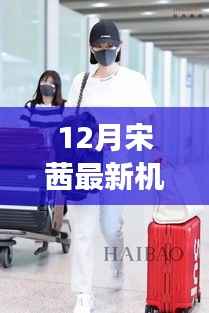 12月宋茜最新机场街拍,宋茜的机场街拍启示录,与自然美景的邂逅,寻找内心的宁静之旅