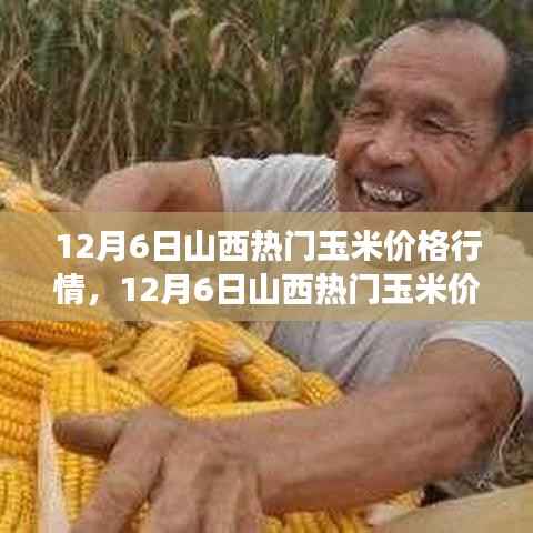 山西热门玉米价格行情深度解析,市场走势与多方观点探讨